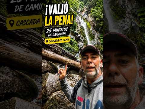 🌿 Estuvimos a punto de irnos de Villa Traful... y casi nos perdemos este lugar.#vanlife #ruta40