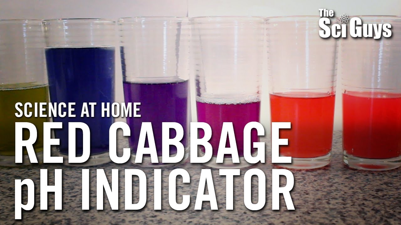 The Sci Guys: Science at Home - SE2 - EP4: Red Cabbage pH Indicator - Acid Base Indicator