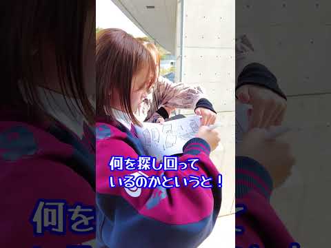 １年生にミッションが発動！１年生は何をしているのでしょうか？#大学生 #看護 #日本赤十字 #学校行事