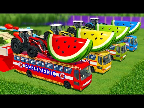 LOAD & TRANSPORT WATERMELONS AND CLAAS LOADERS WITH BUSES - Farming Simulator 22
