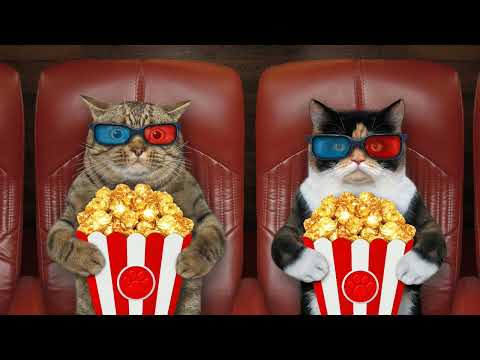 Спектакль о раскаянии 🎭 ➤ Кошка Чечня БлоХер