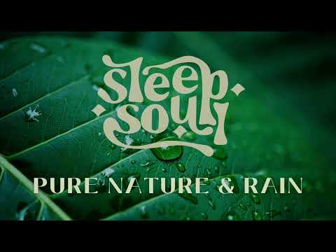 Sleep Soul: Soothing Pure Nature & Rain Sounds With Green Noise [Full Album]