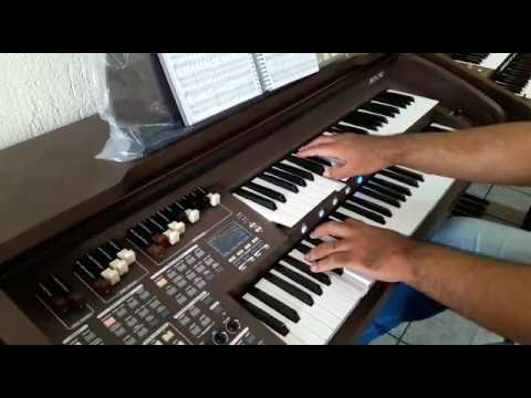 Orgão Eletrônico Tokai MD-750 - Loja Teclasom