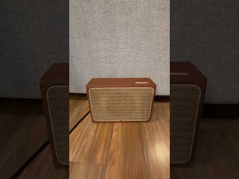 Vintage 1959 RCA Victor Desktop Guitar Cab with Original RCA Speaker image 11