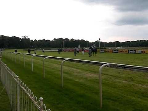 Galopprennbahn Hoppegarten 31.05.2009 Miss Europa + Andrasch Starke