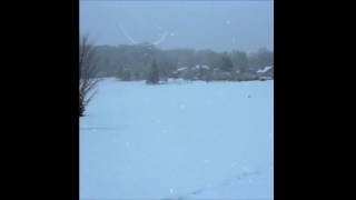 ricky eat acid - lost cause objectives (full album)