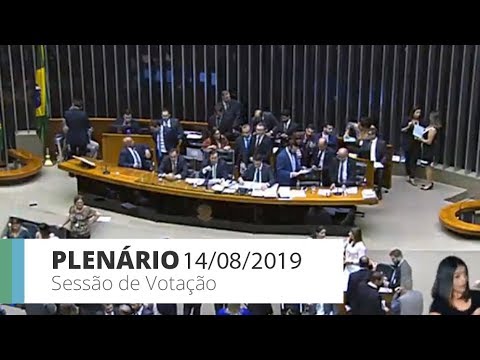 Plenário - Sessão de votação - 14/08/2019 - 18:57