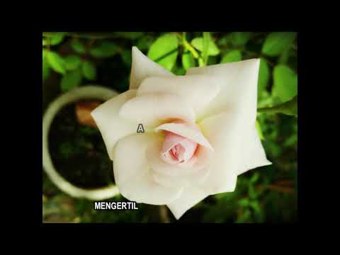 [LIRIK] BERPISAH  BY  DYGTA FEAT NITA