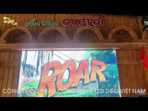 Video dự án