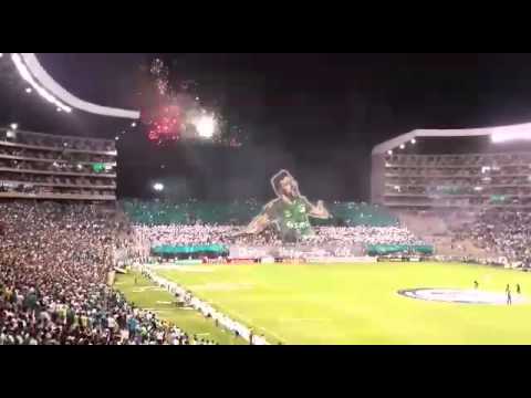 "Frente Radical (ultras Cali) Tifo Andrés Perez" Barra: Frente Radical Verdiblanco &bull; Club: Deportivo Cali