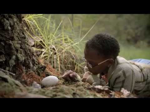 MTN Internet: Oh, the things you'll learn. Join the fastest Internet in the New World