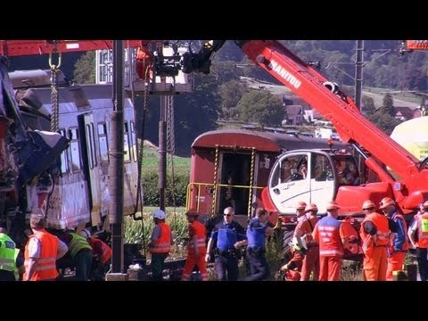 Signal-jumping likely cause of Swiss train crash