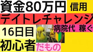 【デイトレ 資金80万円 初心者】16日目 初心者にしては上出来 自画自賛 /黒字姫 セキセイインコ 女の子