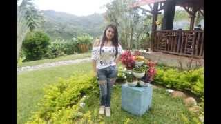 Desde Lejos- Luciano Pereyra