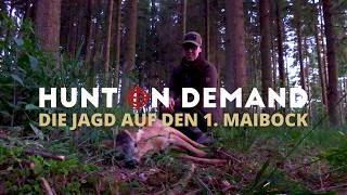 Die Jagd auf den Maibock in der Eifel 🌋 Teil 2 mit @huntingtommes
