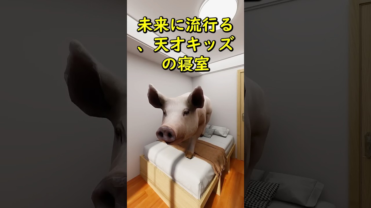 未来に流行る、天才キッズの寝室。 #リノベーション #ルームツアー #寝室 #インテリア #子供部屋 #収納アイデア #ルームメイク #勉強部屋 #解説 #diy