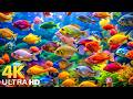 DREAM AQUARIUM 4K Marine Life Sea Animals And Coral Reef Beautiful Relaxing Music For Sleep 4