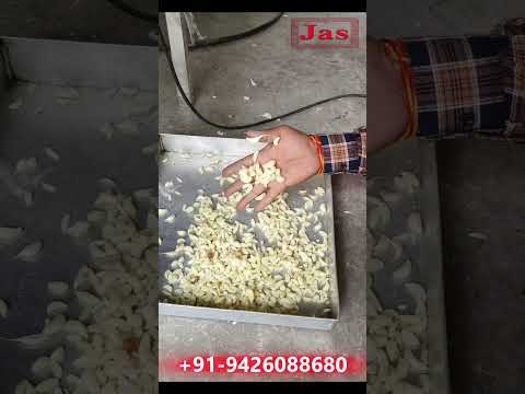 Garlic Peeling Machine