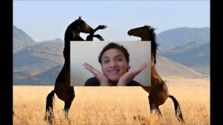 Cotomotix - Caballo Homosexual