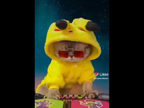 14 de agosto de 2021