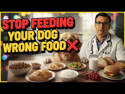 “What Should I Feed My Dog Daily? | Complete Feeding Guide”