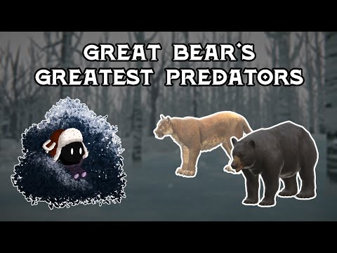 Great Bear's Biggest Boys | Getting Down to Basics Pt. 4 | The Long Dark Beginner's Guide