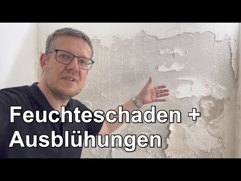 Moisture damage and mineral efflorescence