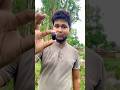Very Simple Way To Growing Jamun Tree From Jamun Seeds Tutorial For Beginner Grow Jamun Tree