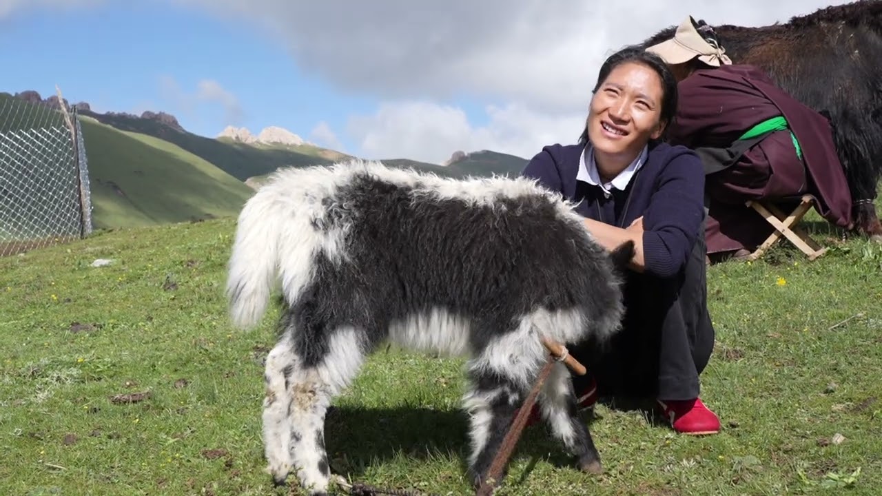 Who Has Seen the Sound? - TRAILER