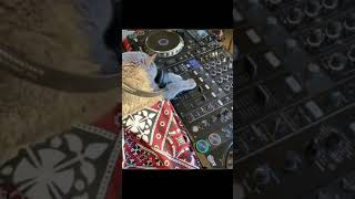 DJ CAT 🐱 In The House Mixing On Pioneer CDJ Professional Player & DJM Mixer