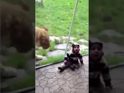 Rua 14 Luis Fernando