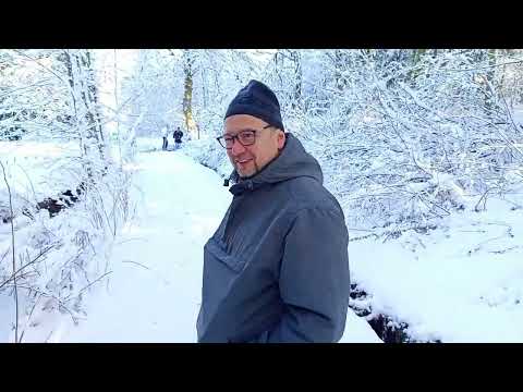 Wintertraum im Harz.