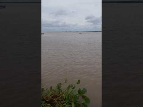 Tarde gris en el Puerto de Victoria Entre Rios.