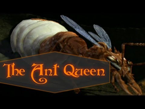 Defeating The Ant Queen - Champions of Norrath
