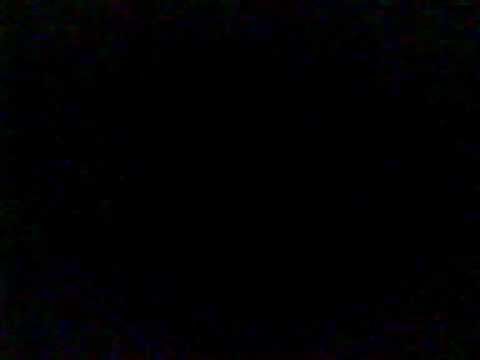 aleksandar todorovic new year