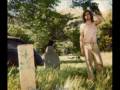 Ariel Pink - Haunted Graffiti from "The Doldrums ...
