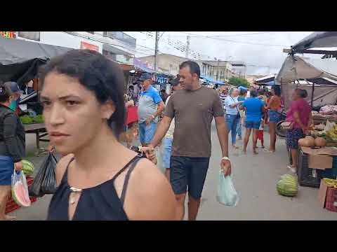 Video da Feira de Gado Bravo dia 01/03/2026