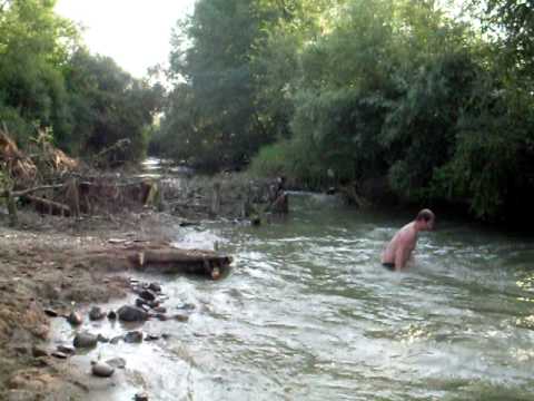 dalboana din chechis 2