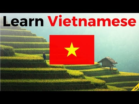 Learn Vietnamese While You Sleep 😀  Most Important Vietnamese Phrases and Words 😀 English/Vietnamese