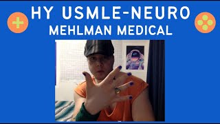 HY USMLE Neuro/Endocrino - #313