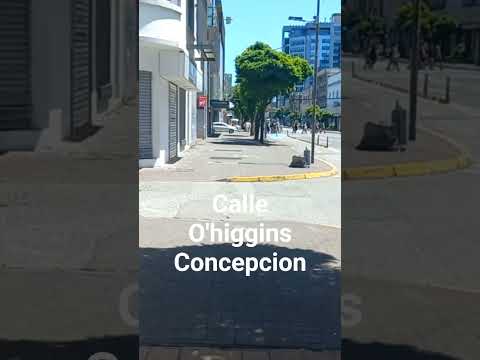 Concepcion.calle o'higgins region del biobio