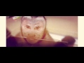 Chicken Run Hidden Trailer 2000