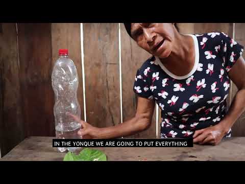 Awajun Women's Ancestral Medicine Revival