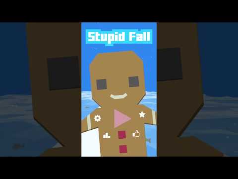 Fun games : Stupid Fall Video