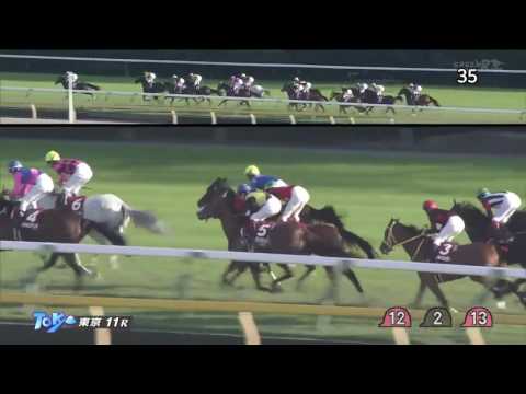 府中牝馬ステークス2016(1800m)THE FUCHU HIMBA STAKES2016
