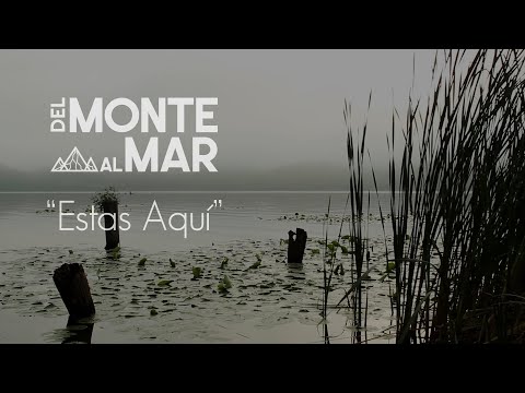 Del Monte al Mar - Estás Aquí (Video Lyric)