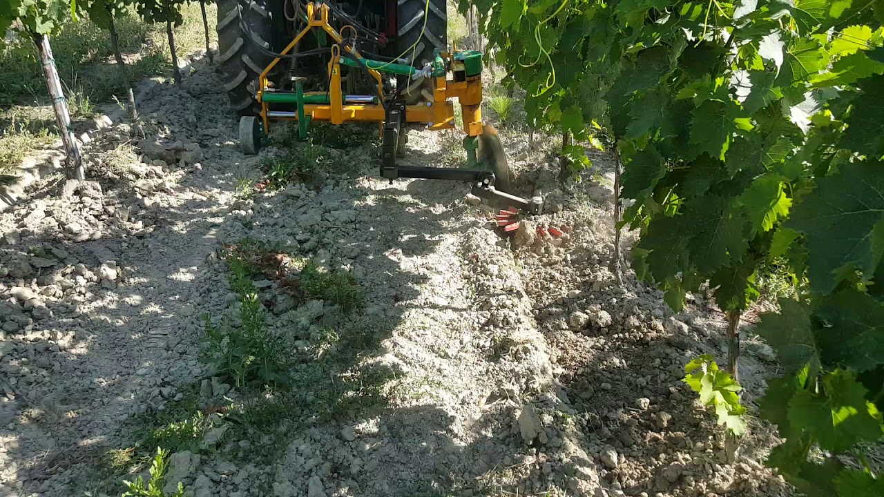 https://www.youtube.com/embed/I1KT0UPhkjI