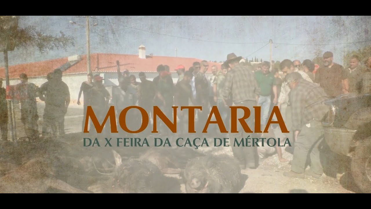 Montaria da X Feira da Caça