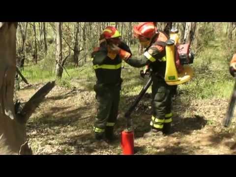 La Tecnica del Fuoco Prescritto - Video 7: Esperienze in Sardegna