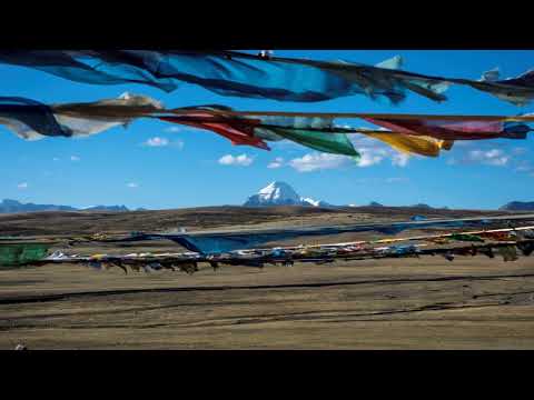 Relax A Liquid Mind Experience